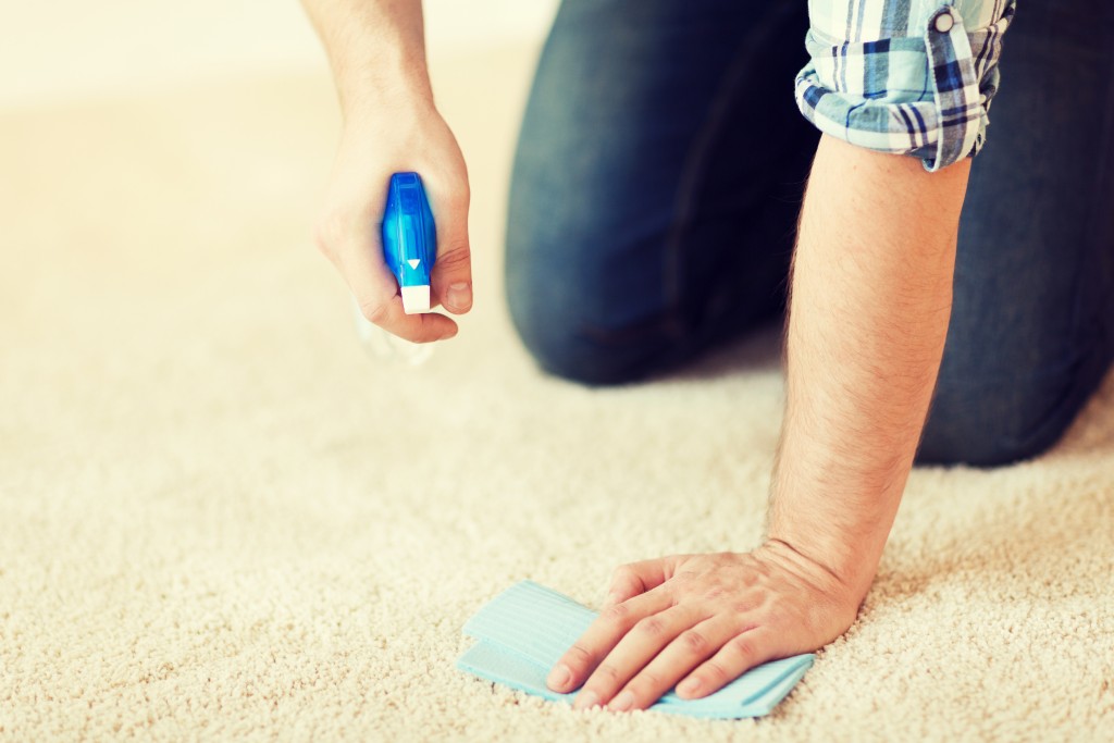 close up of male cleaning stain on carpet