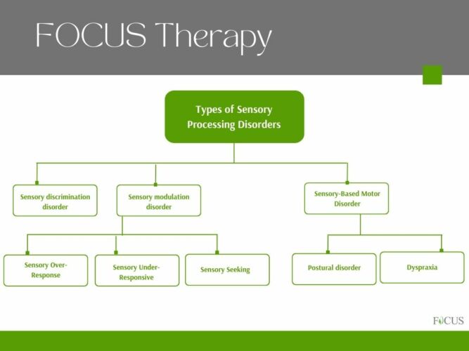 Understanding Sensory Processing Disorder Subtypes Focus Therapy